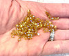 Swarovski